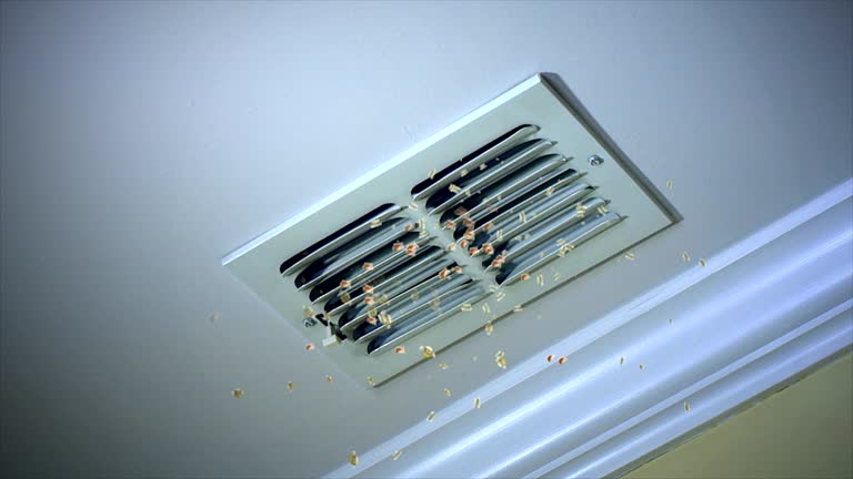 Best General Air Duct Cleaning  in East Pittsburgh, PA