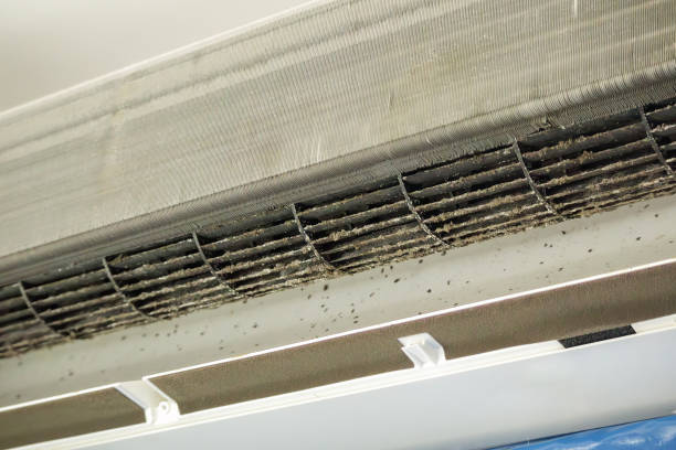 Best Ventilation Cleaning Services  in East Pittsburgh, PA