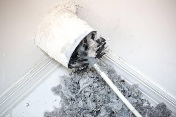 Best Professional Duct Cleaning Services  in East Pittsburgh, PA